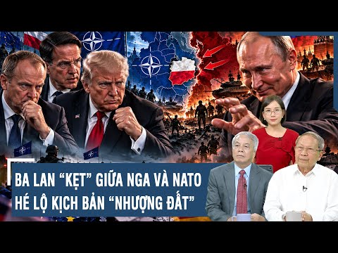 Expert: NATO internally erupts over questions of ceding land to Russia, is the alliance "sitting ...
