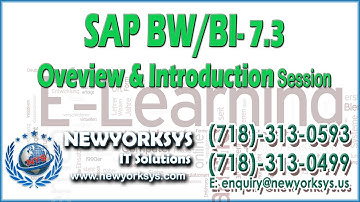 SAP BW/BI 7.3 Online Classes Introduction & Overview - Newyorksys.com