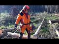 Felling a chain saw with a new Generation Husqvarna 135 MARK II