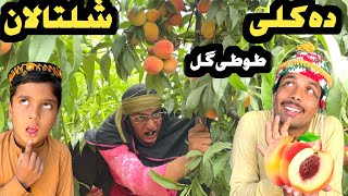 Da Kali Shaltalan Pashto New Funny Video 2024 by Bebe Vines Plus