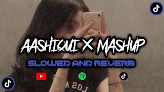 DJ AASHIQUI X MASHUP ( SLOWED   REVERB )🎧🎧