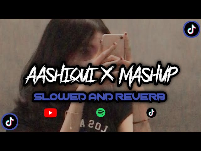 DJ AASHIQUI X MASHUP ( SLOWED + REVERB )🎧🎧 class=