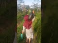 bali Seko tegal