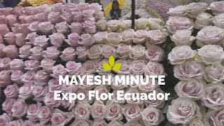 Mayesh Minute: Expo Flor Ecuador 2022