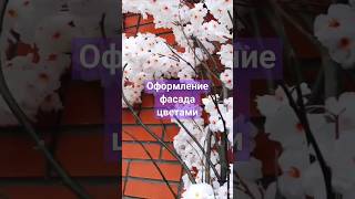 Оформление фасада декором из веток и цветов