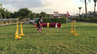 silvia trakman foundation lesson 2