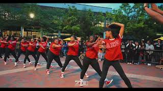 AYYE LADIES STROLL: DELTA SIGMA THETA (GRAND TOUR MEDIA)