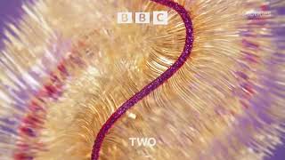 Ident review #101 BBC Two Christmas 2021 Idents