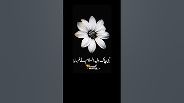 Ayatul Kursi | Ajmal Raza Qadri | ☘️☘️ | #status #bayan #short