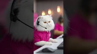 “Cat Calls Tech Support... Then Says THIS 😹📞 | AI Comedy #cat #funny #catvideos