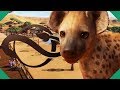 A New African Zoo! BUILT IN A VOLCANIC CRATER! | Planet Zoo (Campaign Playthrough)