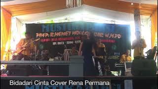 Bidadari Cinta Cover Rena Permana (LIVE SHOW KUTAKANYERE PANGANDARAN)