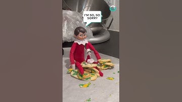 Girl Tells of Elf on the Shelf Thief! || ViralHog