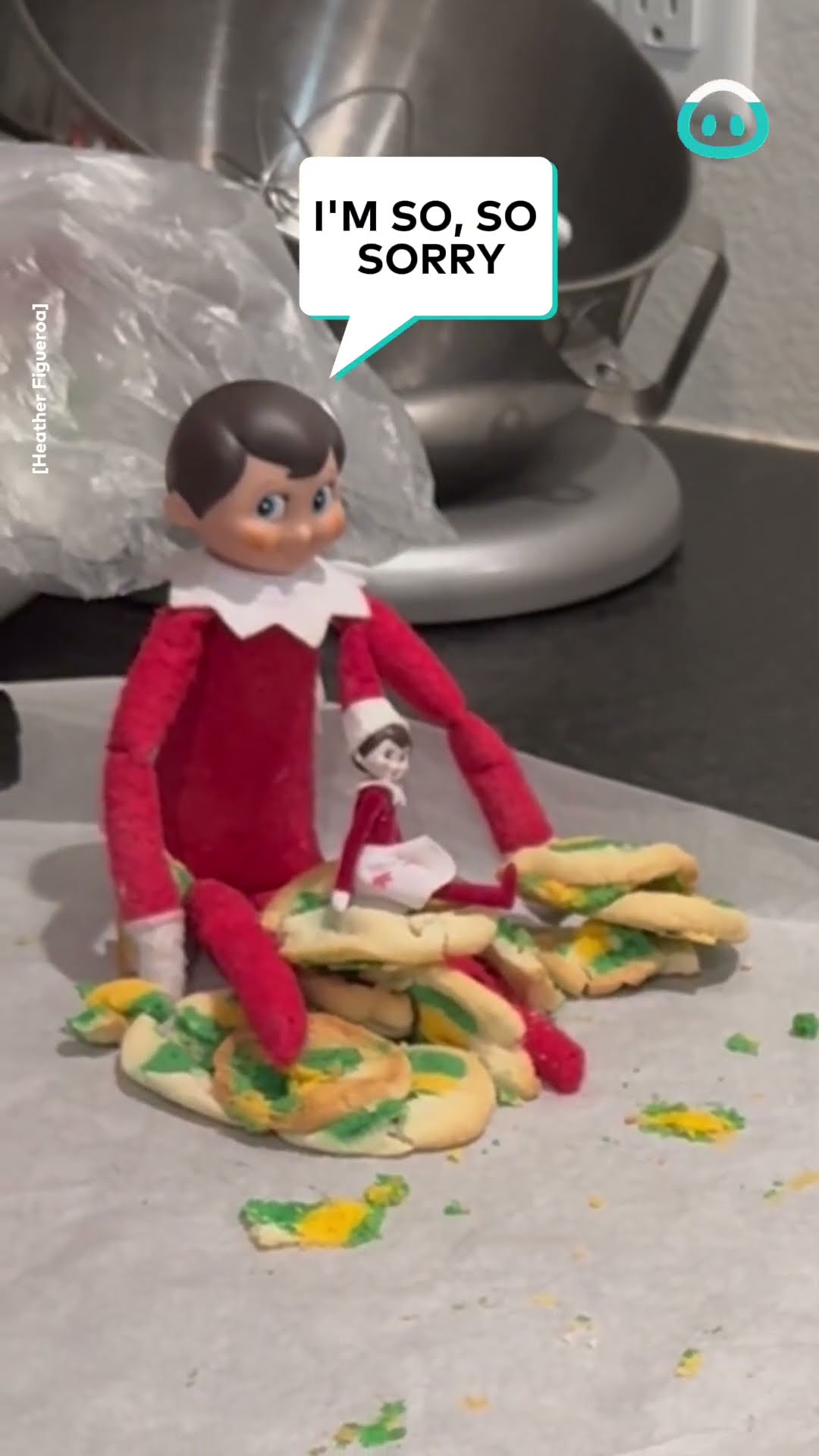 Girl Tells of Elf on the Shelf Thief! || ViralHog