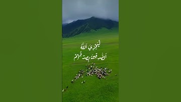 سورة الأحزاب {الآيتين 23-24} للقارئ بدر التركي.
