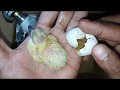 How To Make  An Incubator Pigeon At Home || Egg Hatched || Part - 03