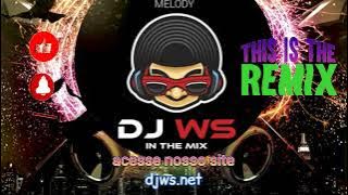 Desireless - Voyage Voyage (Freestyle Radio Mix DJ WS)