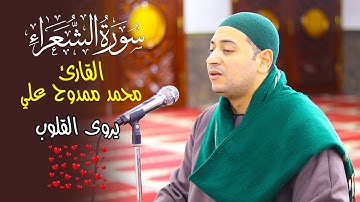 سورة الشعراء تأخذك لعالم آخر 💛 بصوت القارئ محمد ممدوح علي صالح 🎤🖤