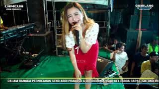 CAMELIA - KECEWA EVIS RENATA - WEDDING ABDI & NAFISAH MLATIHARJO GAJAH DEMAK