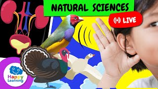 🔴 LIVE | ALL About Natural Sciences! The Human Body, Amazing Animals, Fun Facts | Educational Videos