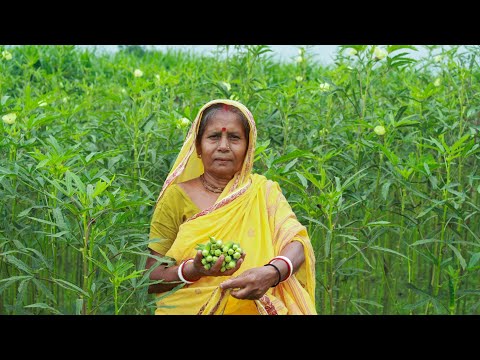 ভিডিও: কিভাবে চিংড়ি এবং স্কুইড সঠিকভাবে রান্না করা যায়