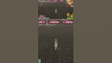 HYPE HYPE HYPE #gaming #games #animals #femalestreamer #roblox #savannahlife #femaleplayer #gamer