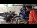 Egg tray making machine in the philippines