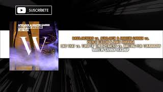 Like That Vs Turn Up The Speakers Vs Waiting For Tomorrow martin Garrix Mashup