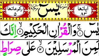 🔴 Live Surah Yasin (Yaseen) Quran Tilawat | Beautiful Video سورۃ یاسین