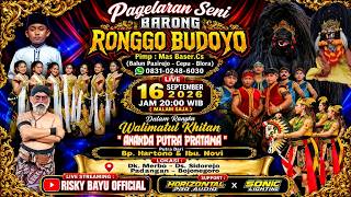 🔴LIVE SENI BARONG RONGGO BUDOYO KHITAN ANANDA PUTRA PRATAMA - MERBO.SIDOREJO-PADANGAN-BJN HZ AUDIO