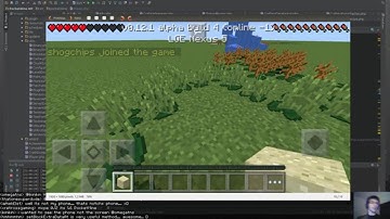 PocketMine 1.6 Show Off - Extra data & blocks in blocks