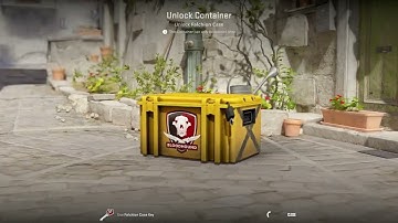 OPENING CASES CS2. DAY 107. FALCHION CASE.