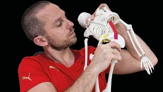 ОСТРАЯ БОЛЬ в СПИНЕ в области ПОЯСНИЦЫ и БЕДРА 🔴 Триггерные точки КВАДРАТНОЙ МЫШЦЫ ⭐ SLAVYOGA ОСТРАЯ БОЛЬ в СПИНЕ в области ПОЯСНИЦЫ и БЕДРА 🔴 Триггерные точки КВАДРАТНОЙ МЫШЦЫ ⭐ SLAVYOGA
