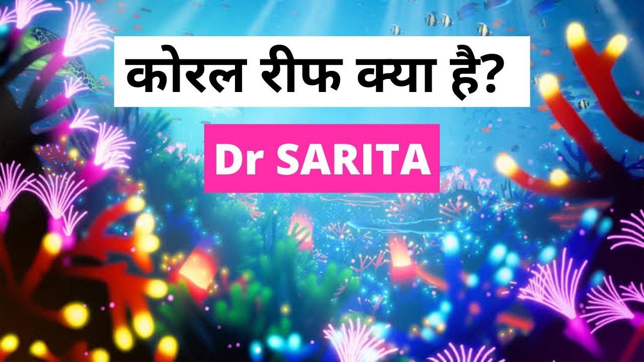 Coral, Coral Reef, Its Classification And Concept Of Coral Bleaching