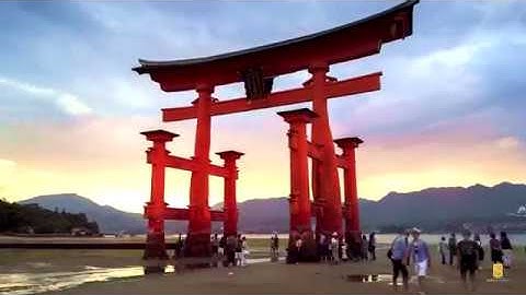 World Scratch-Off Map | ModernTravelerInc Commercial