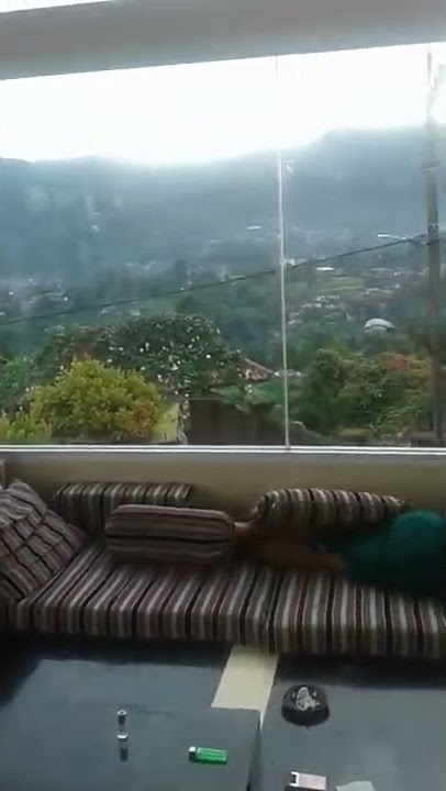 LAGI LIBURAN DI VILLA | HALU STORY #shorts  #storyhalu #storyig #storywa