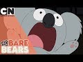 We bare bears  just needs a hug  cartoon network