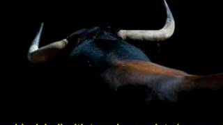 Amar es un toro negro (Love is a Black Bull) ELIAS RUVALCABA