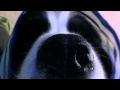 時は過ぎてゆく  by Yoshie &amp; All cast