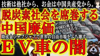 【超話題の中国EV車の『闇』が深すぎる】『中国のEV車は世界の自由競争市場をぶち壊している！』中国共産党から補助金ジャブジャブ、技術は他国のライバルメーカーから！マスコミはこんなＥＶ車を褒め称えるな！