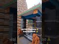 #kedarnath