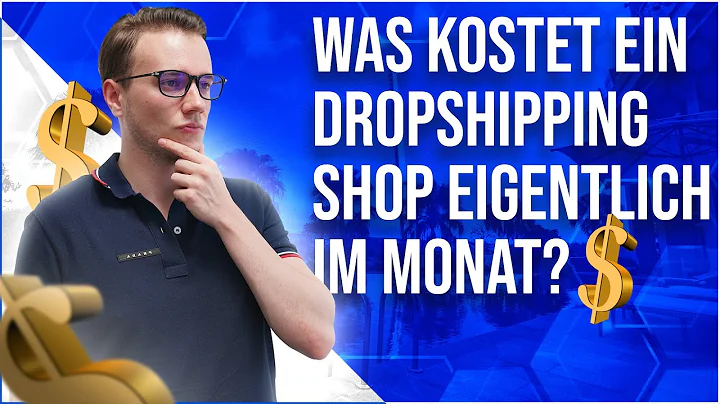 Kosten eines Dropshipping Shops im Monat