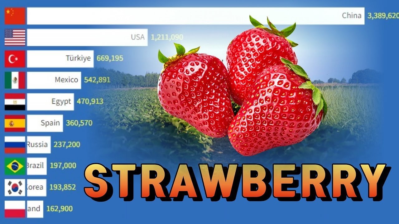 Top 10 Countries by Strawberry Production YouTube