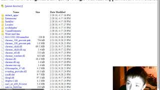 Index of C:\Program Files (x86)\Google\Chrome\Application\64.0.3282.186\ Index of C:\Program Files (x86)\Google\Chrome\Application\64.0.3282.186\