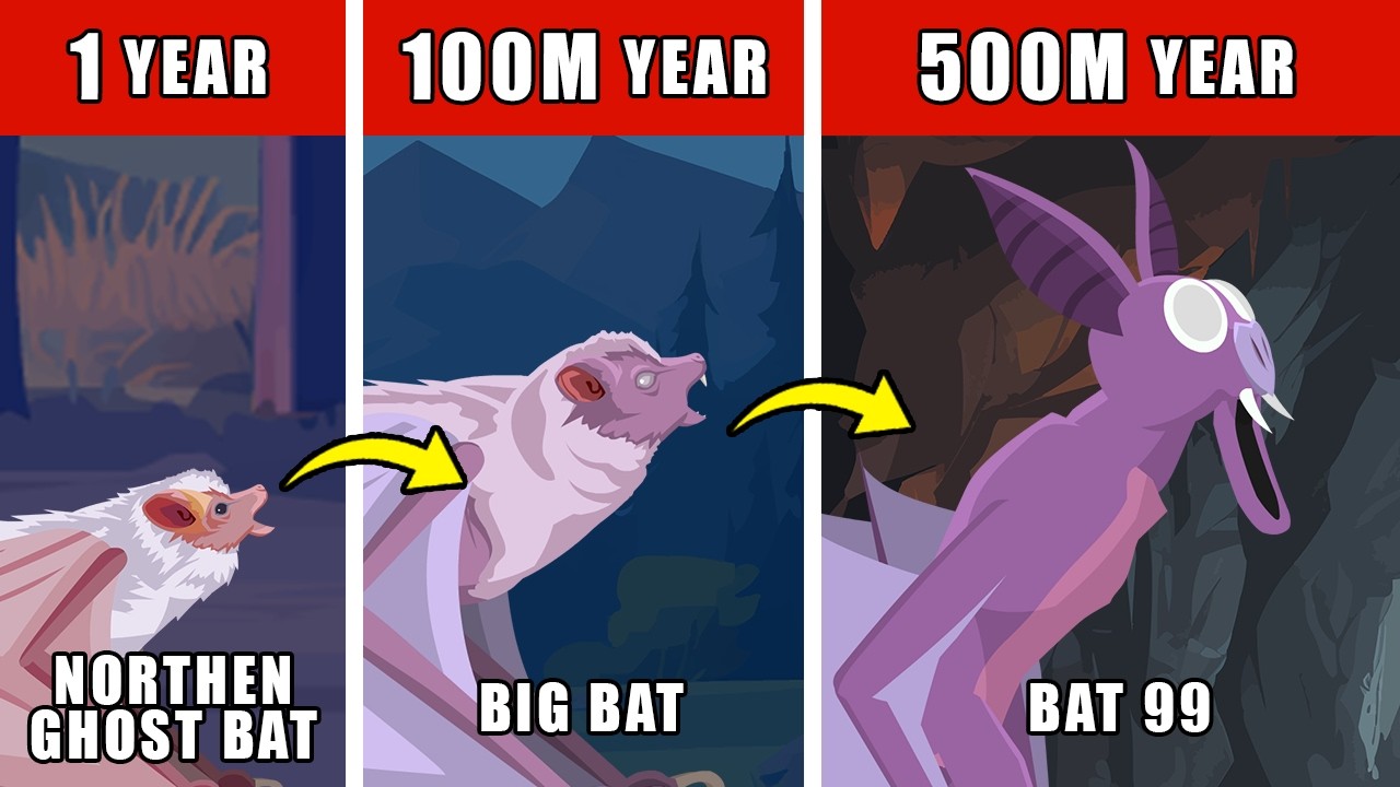 The Bat 99 Origin Evolution: How The Bat 99 Could Have Evolved