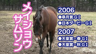 メイショウサムソン　第66回皐月賞　優勝記念タオル　JRA 宝塚記念グッズ発売！】 6/15(日)に行われる第66回宝塚記念グッズを