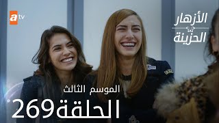 مسلسل الأزهار الحزينة | الحلقة 269 - الموسم الثالث