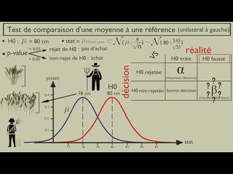 Vidéo: Que signifie bêta dans les statistiques de psychologie ?