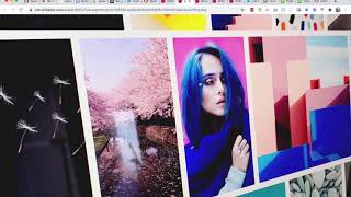 Adobe XD Plugin Development: Moodboard Plugin Net Worth