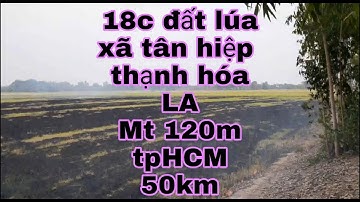 18c đất lúa xã tân hiệp thạnh hóa long an.làm vườn Mt 120m. 130tr/c